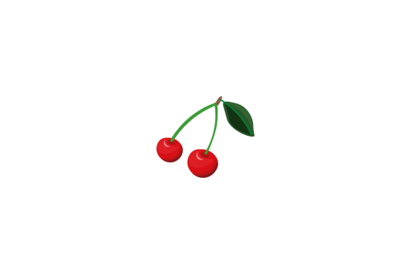 Fruit Cherry Detail Illustrations Vector Graphics Review