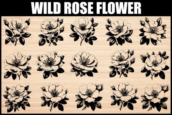 Vintage Wild Rose Bundle: An Embroidery Review